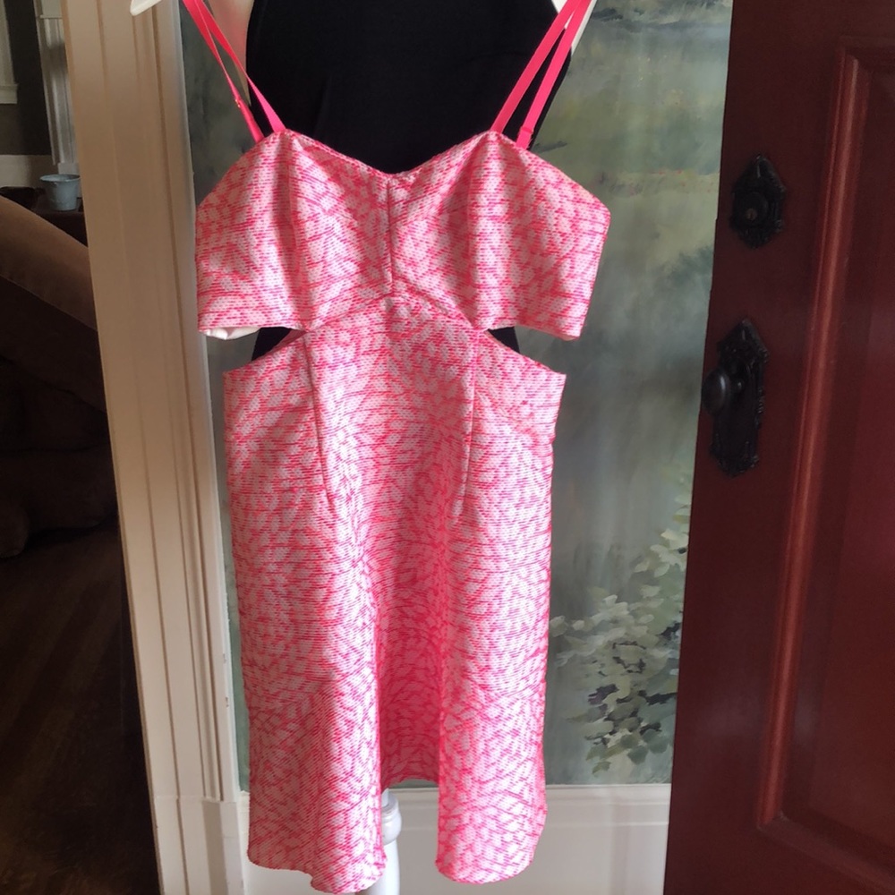 Hutch pink cutout dress.